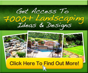 Landscaping Design Ideas