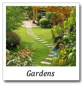 landscaping ideas