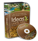 landscaping ideas