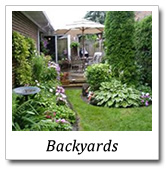 backyards landscape