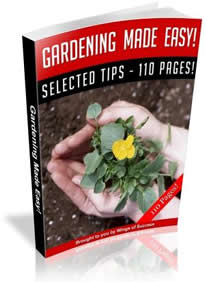 Landscaping Secrets Revealed Bicycle TuneUp Secrets and Upkeep Tips