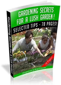 Landscaping Secrets Revealed Bicycle TuneUp Secrets and Upkeep Tips