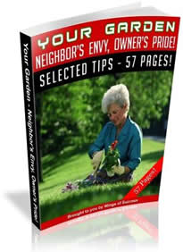 Landscaping Secrets Revealed Bicycle TuneUp Secrets and Upkeep Tips