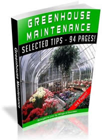 Landscaping Secrets Revealed Bicycle TuneUp Secrets and Upkeep Tips