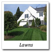 lawns landscape designs